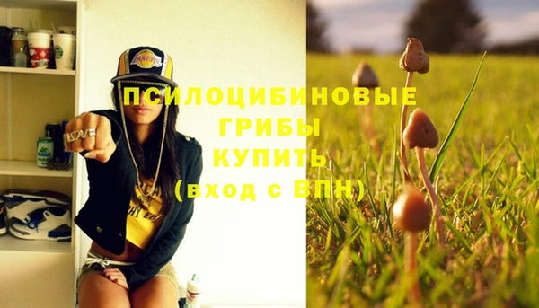 бошки Майский