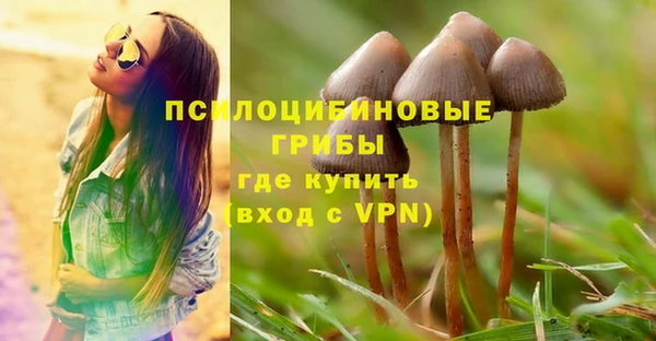 мет Магас