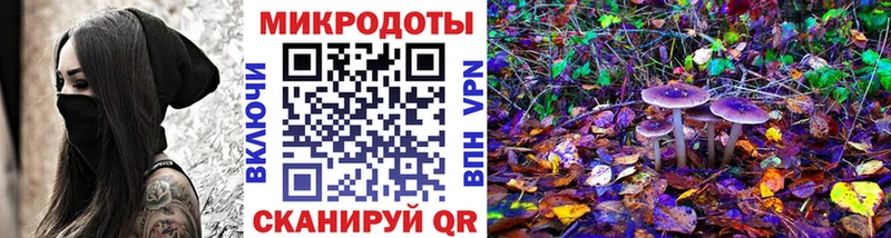 купить наркоту  Полярные Зори  MEGA маркетплейс  Галлюциногенные грибы MAGIC MUSHROOMS 